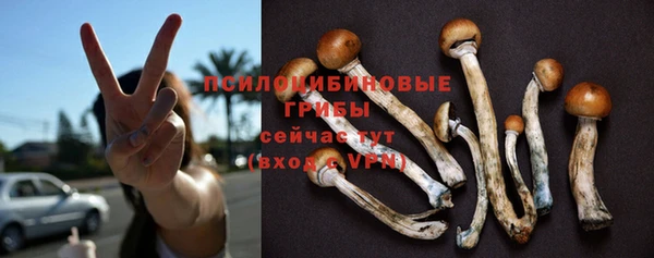 a pvp Каменногорск