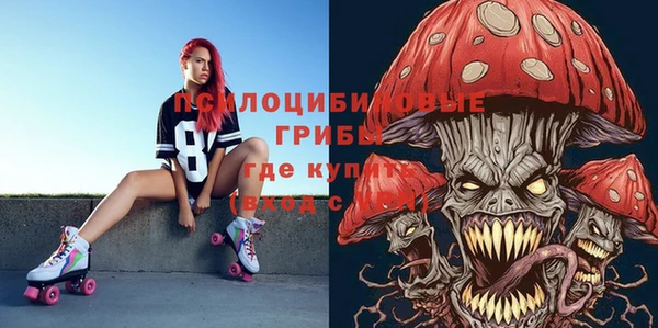 a pvp Каменногорск