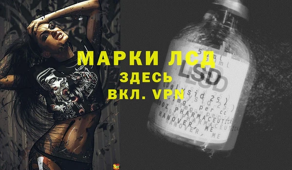 a pvp Каменногорск